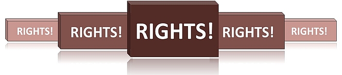 Banner for the civil RIGHTS! Portal